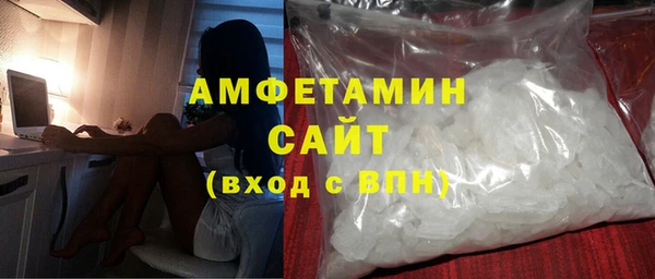 шишки Новозыбков
