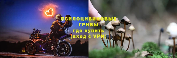 дурь Нягань