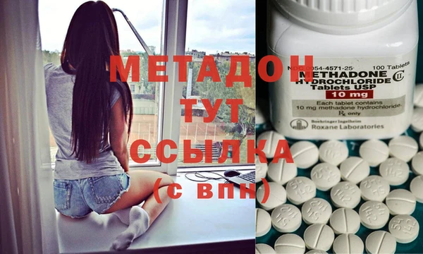 шишки Новозыбков