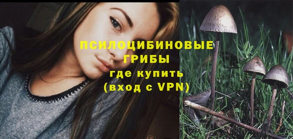 шишки Новозыбков