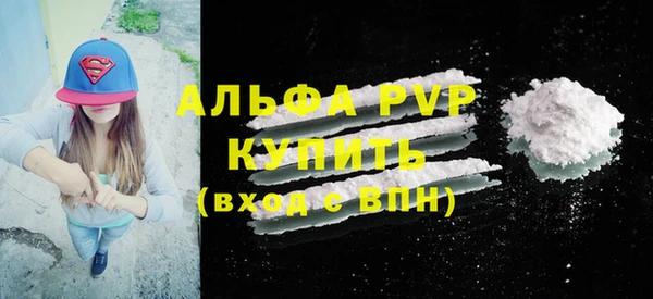 шишки Новозыбков