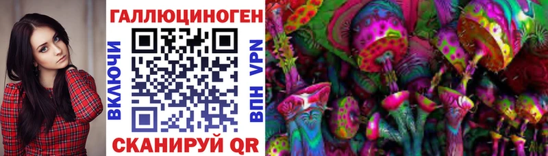 Псилоцибиновые грибы Cubensis  kraken как зайти  Нерчинск 